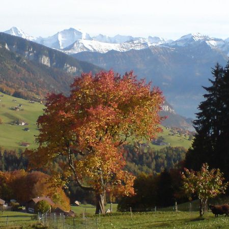 Hotel Rothorn Vintage-Style Sigriswil Luaran gambar