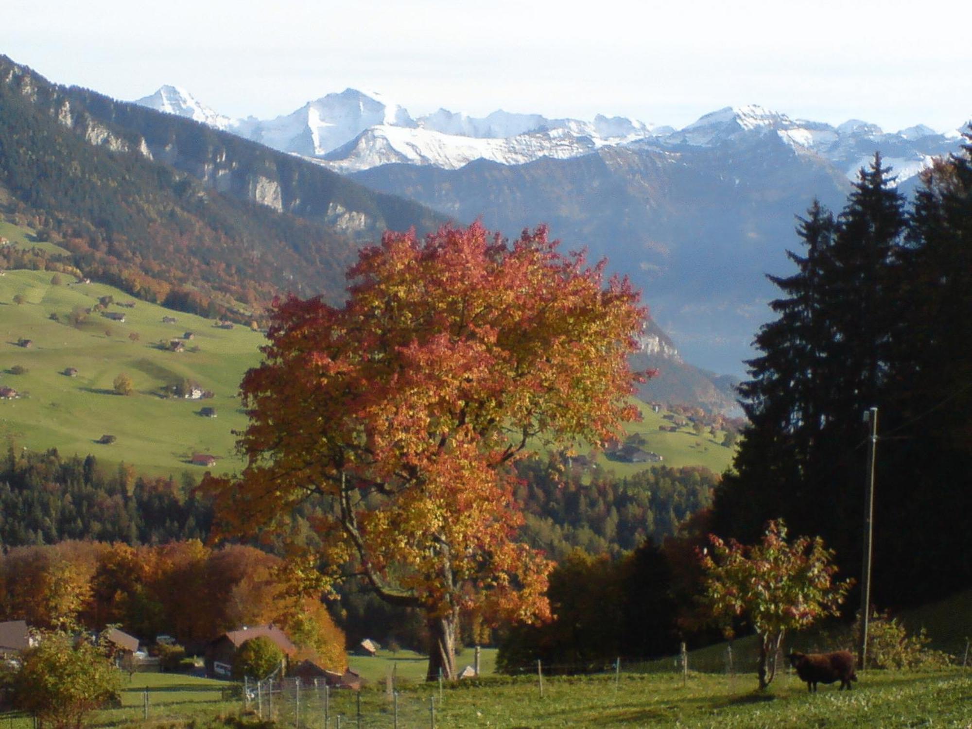Hotel Rothorn Vintage-Style Sigriswil Luaran gambar